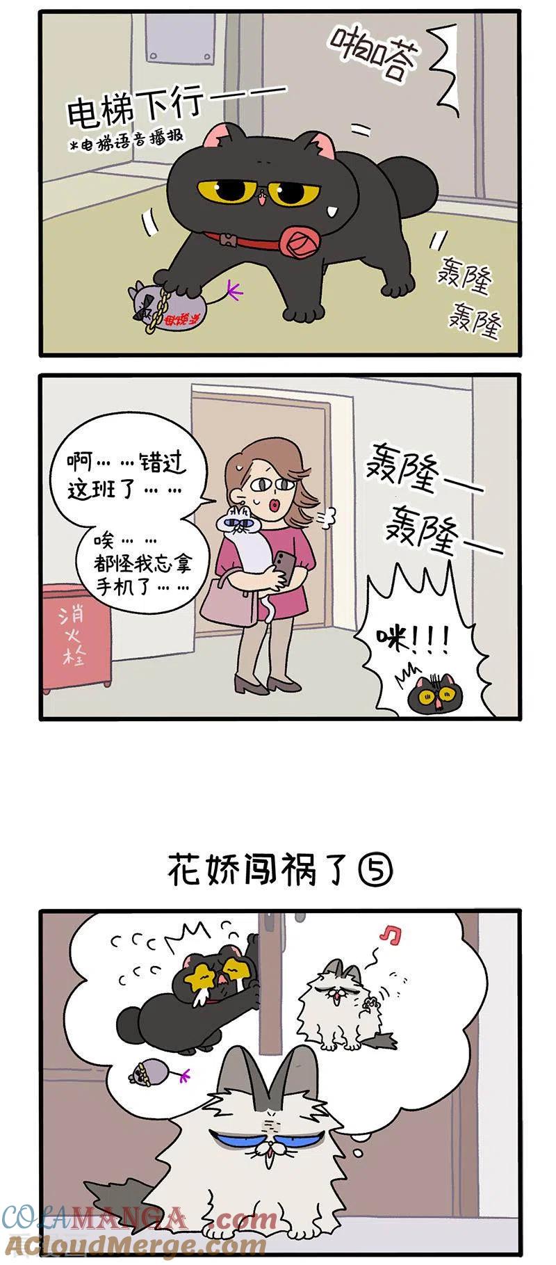 第36话2花娇闯祸了-阿满和麦茶-新漫画 日胖大海寺（第2张）