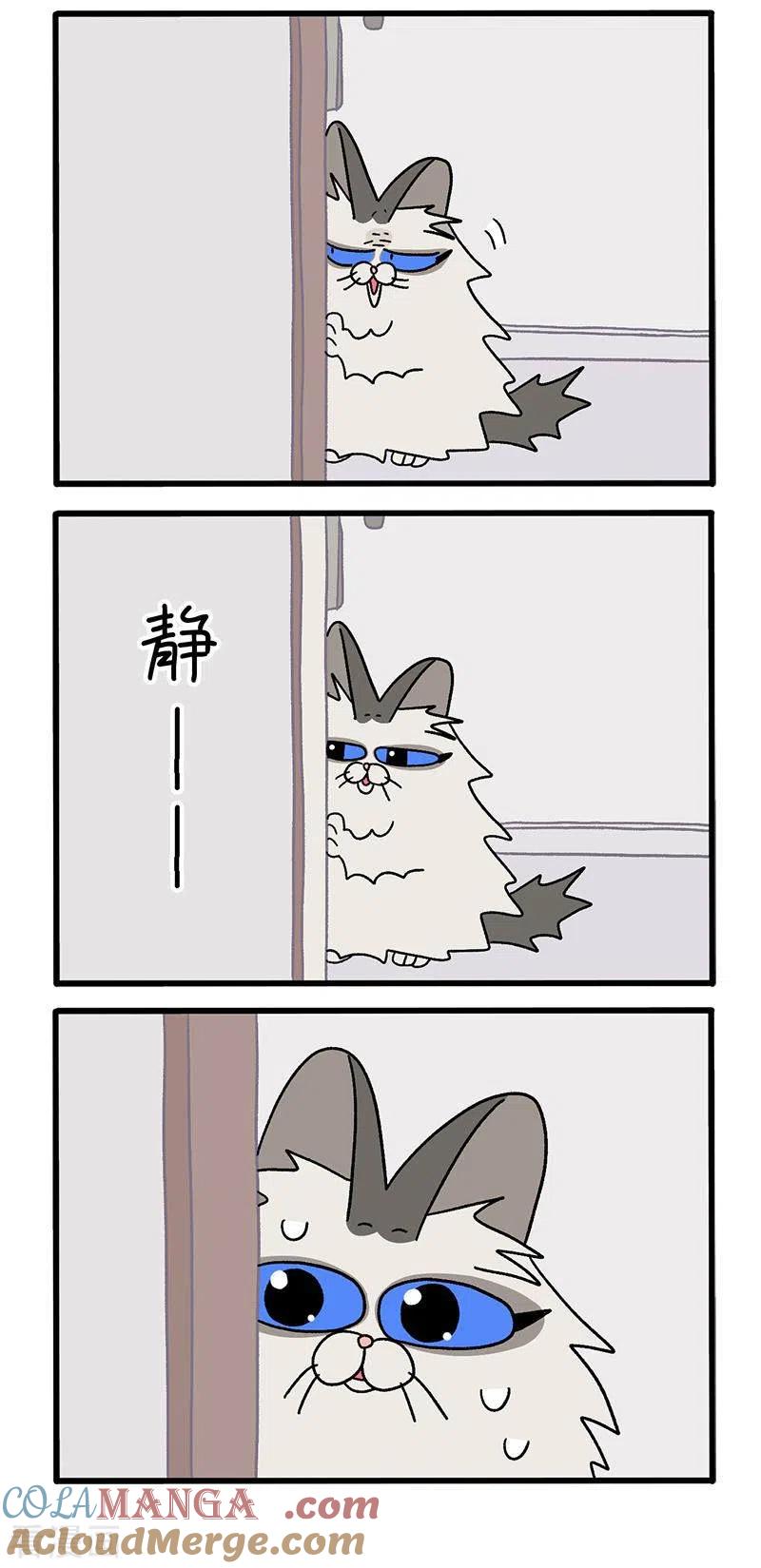 第36话2花娇闯祸了-阿满和麦茶-新漫画 日胖大海寺（第3张）