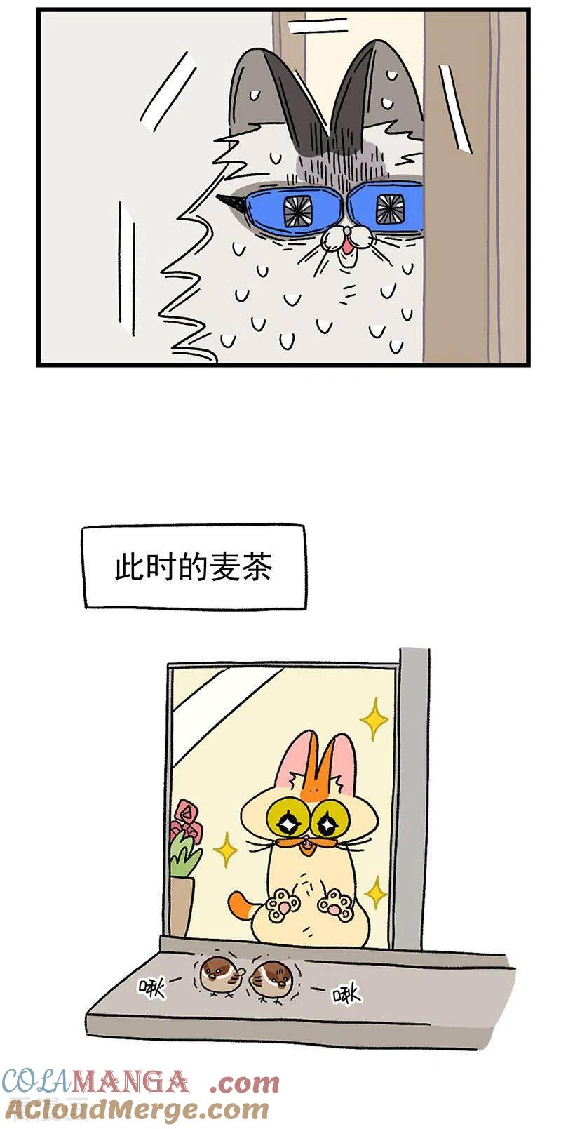第36话2花娇闯祸了-阿满和麦茶-新漫画 日胖大海寺（第5张）
