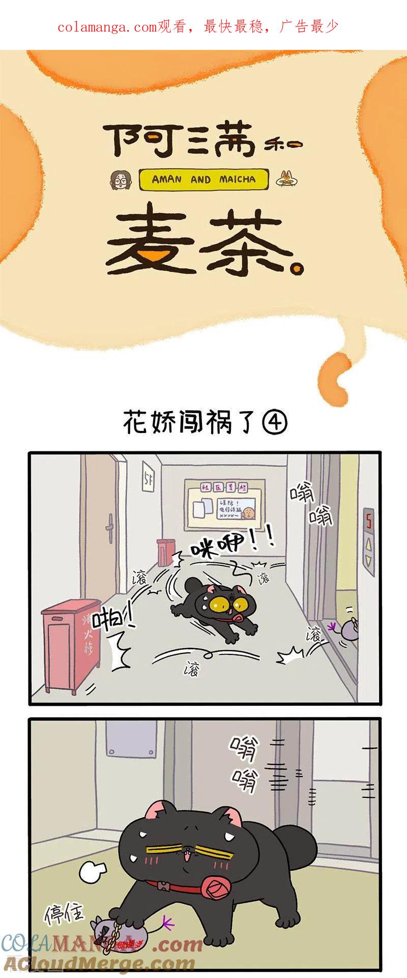 第36话2花娇闯祸了-阿满和麦茶-新漫画 日胖大海寺（第1张）