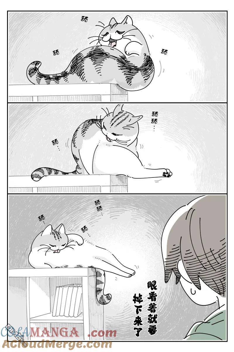 第225话-关于养猫我一直是新手-キュルZ（第1张）