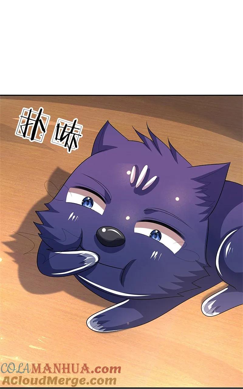 29.jpg
