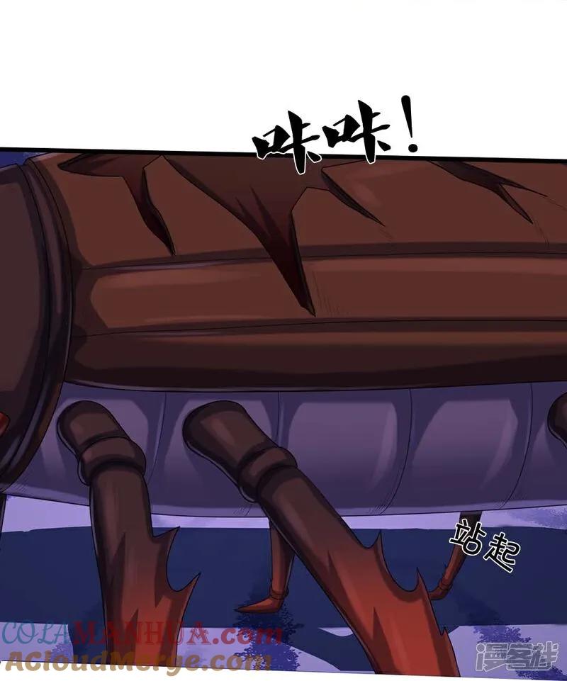 33.jpg