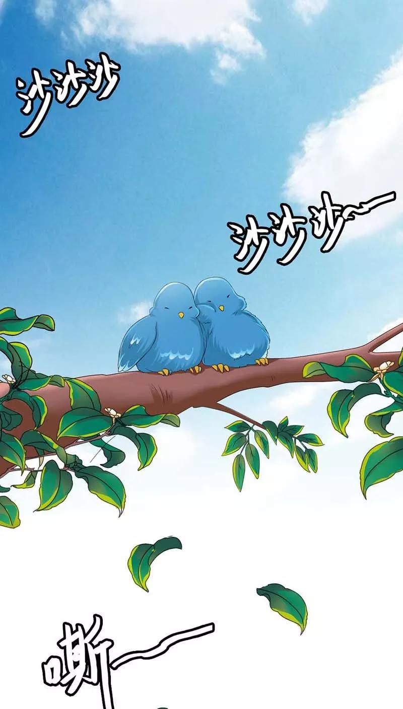 第3季11话躲猫猫-这个神兽有点萌系列之通天嗜宠-左岸卡漫（第12张）