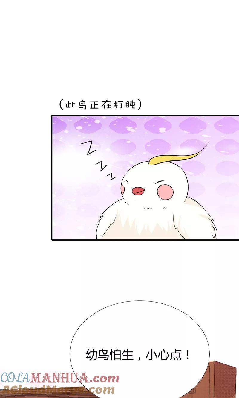 第3季56话情缘树-这个神兽有点萌系列之通天嗜宠-左岸卡漫（第5张）