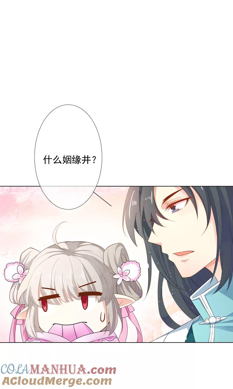 第3季61话姻缘井小情郎是谁？-这个神兽有点萌系列之通天嗜宠-左岸卡漫（第3张）