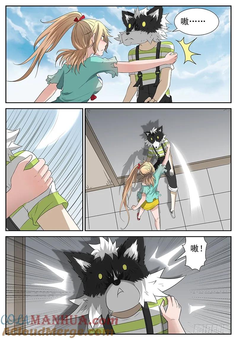 11.jpg