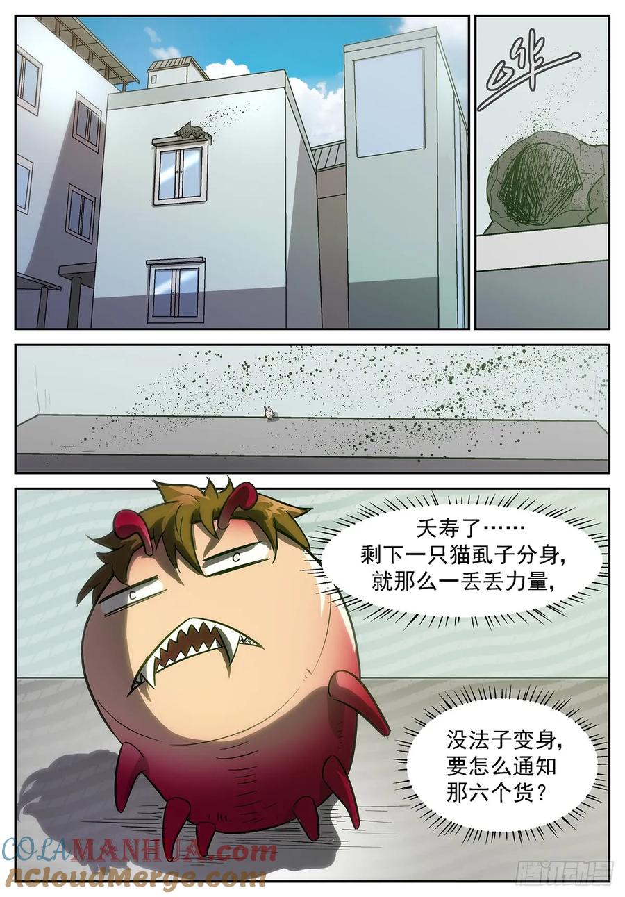12.jpg