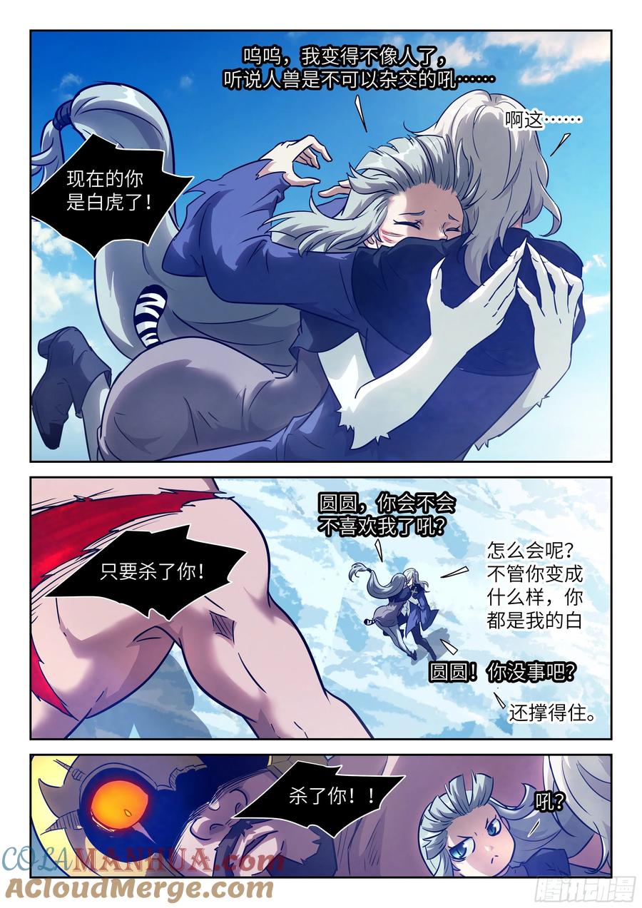 11.jpg