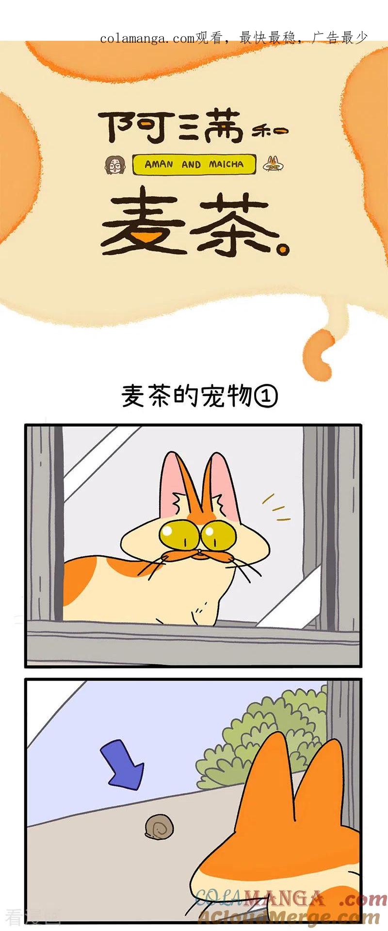 第29话麦茶的宠物-阿满和麦茶-新漫画 日胖大海寺（第1张）