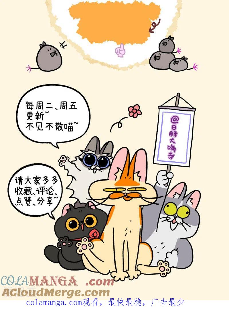 第29话麦茶的宠物-阿满和麦茶-新漫画 日胖大海寺（第8张）