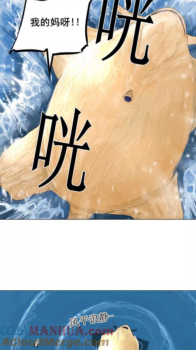 43.jpg