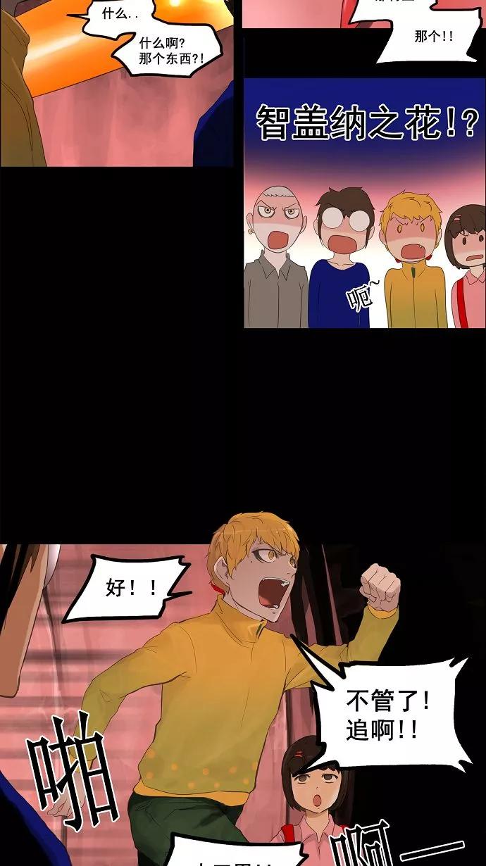 17.jpg
