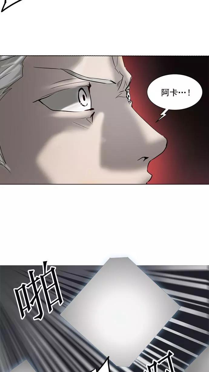41.jpg