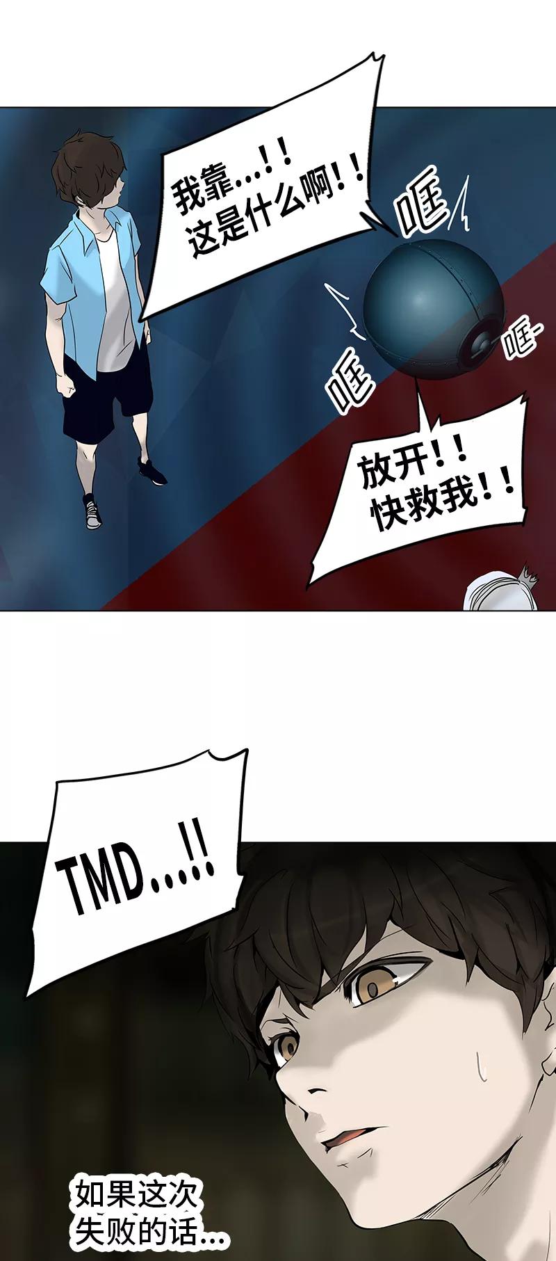 41.jpg