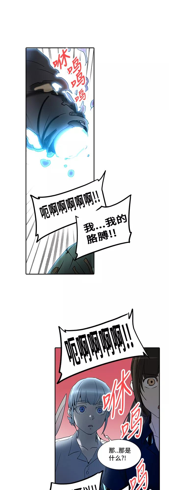 41.jpg