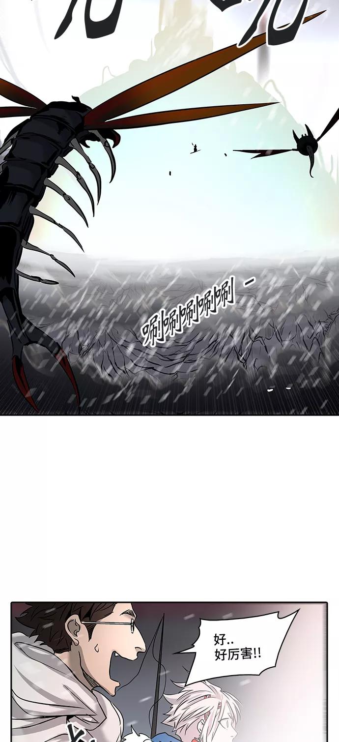 24.jpg