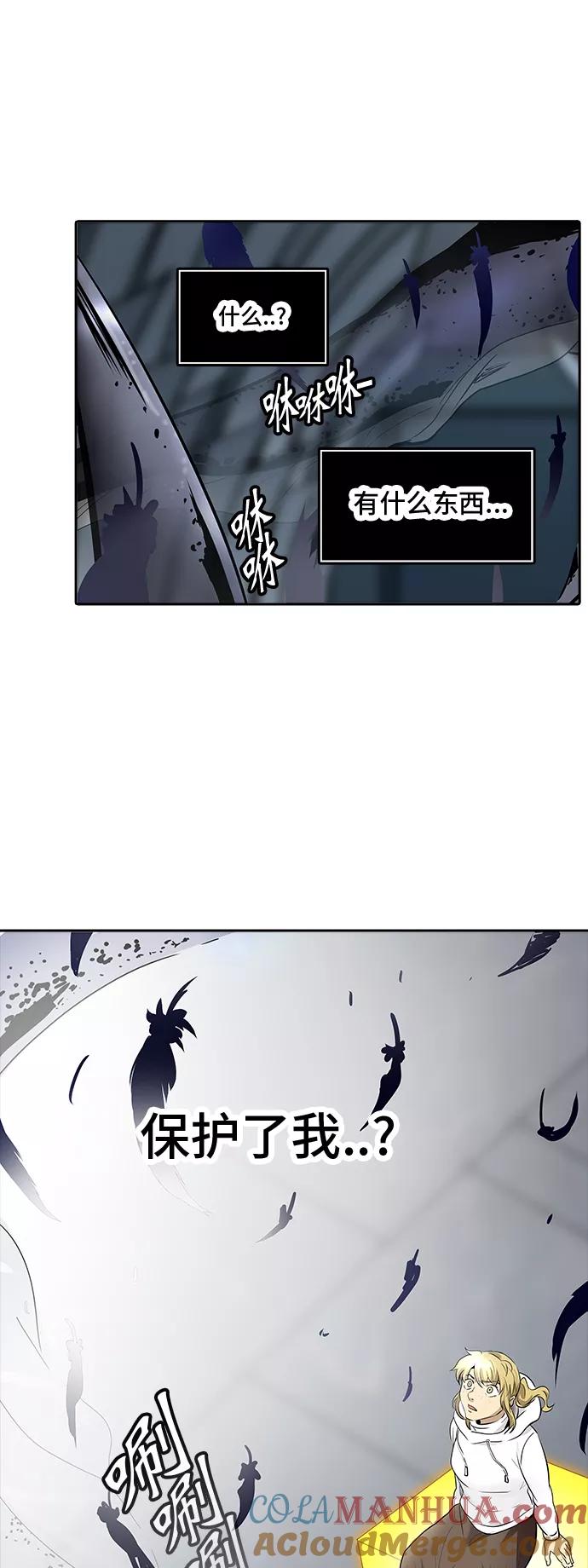 46.jpg