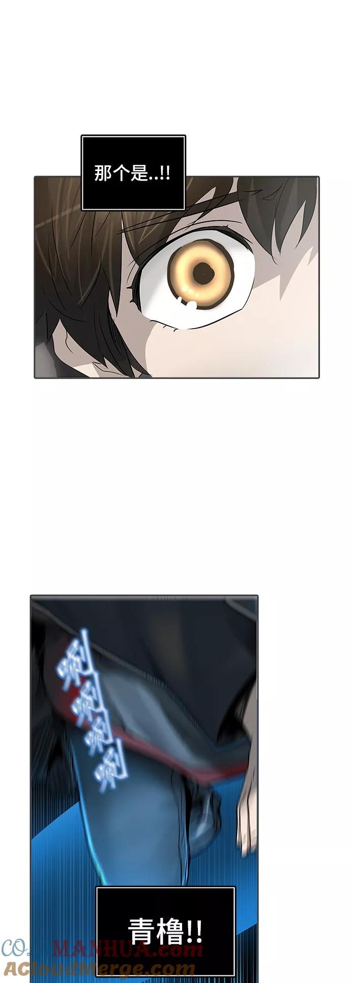 49.jpg