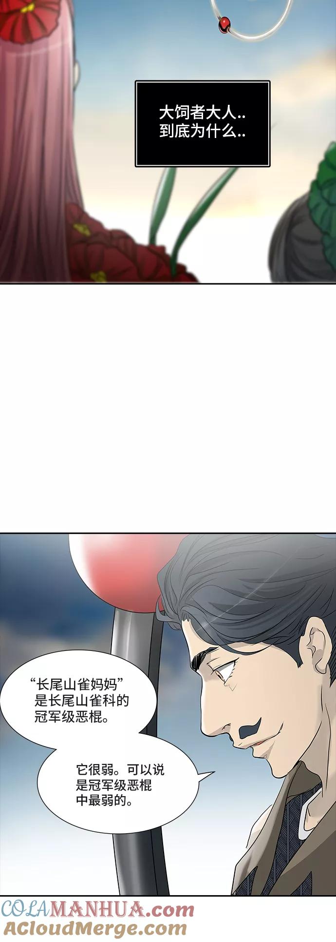 43.jpg