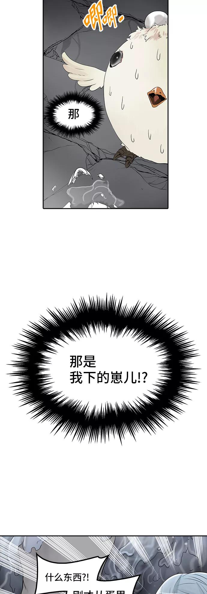 48.jpg