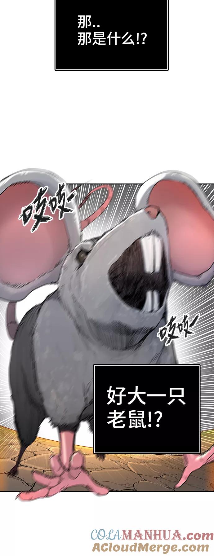 61.jpg