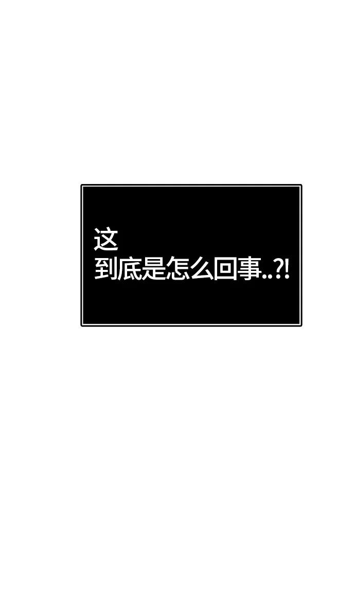 95.jpg