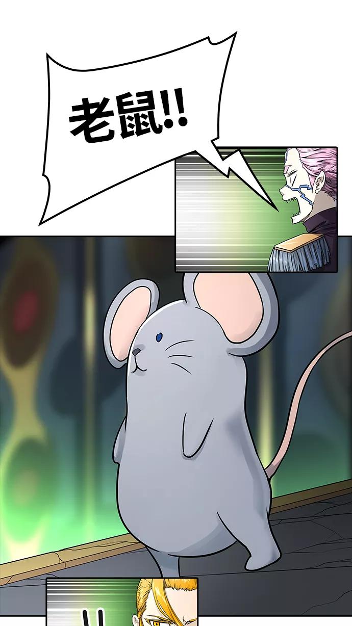 66.jpg