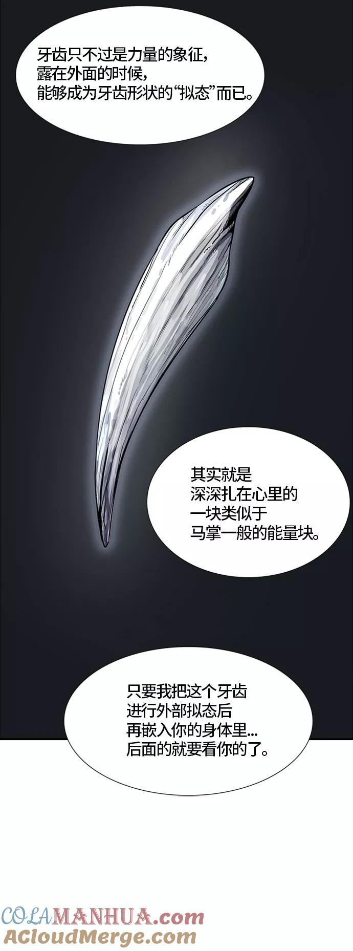 81.jpg