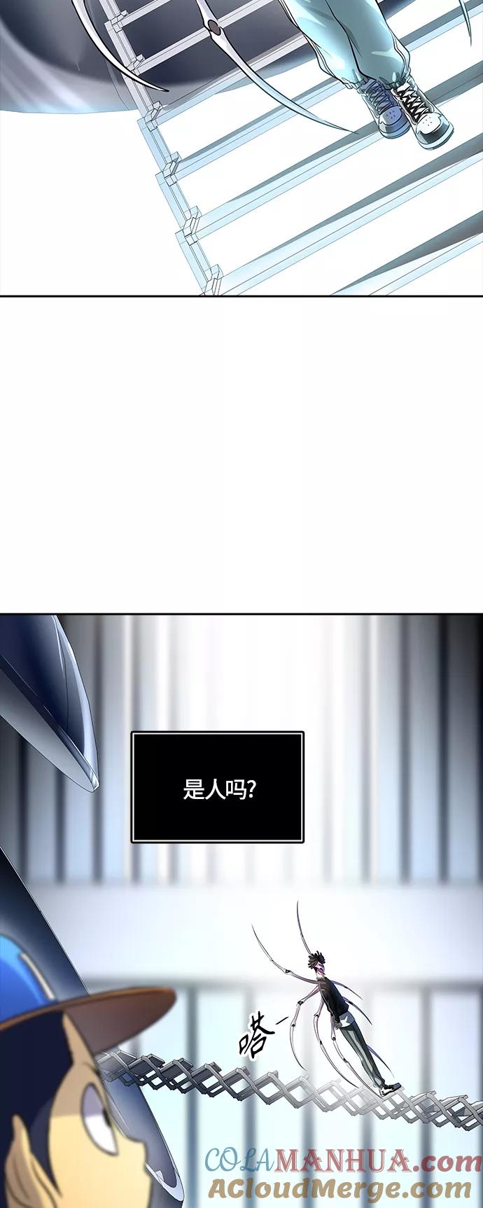52.jpg