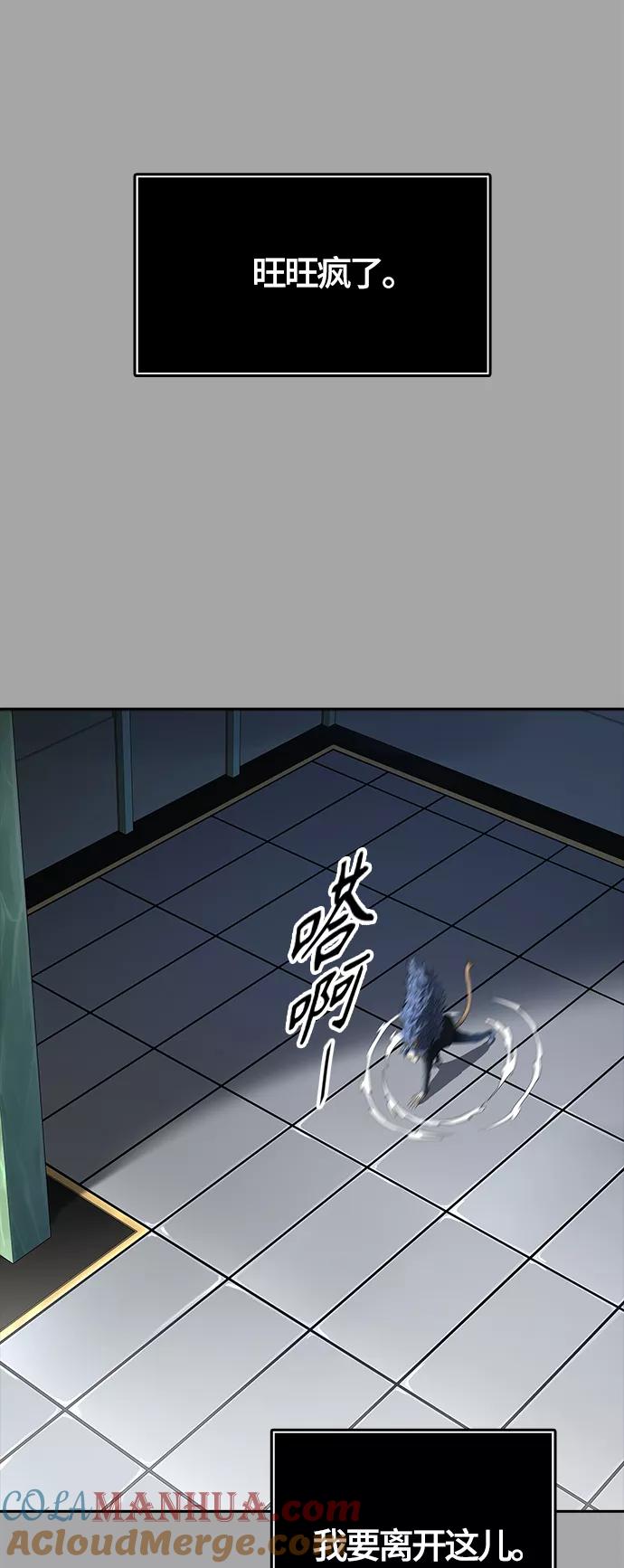 101.jpg