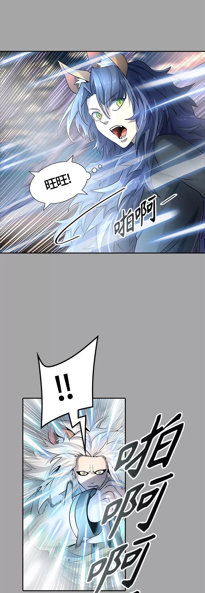 48.jpg