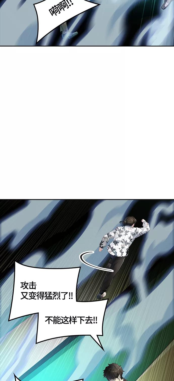 41.jpg