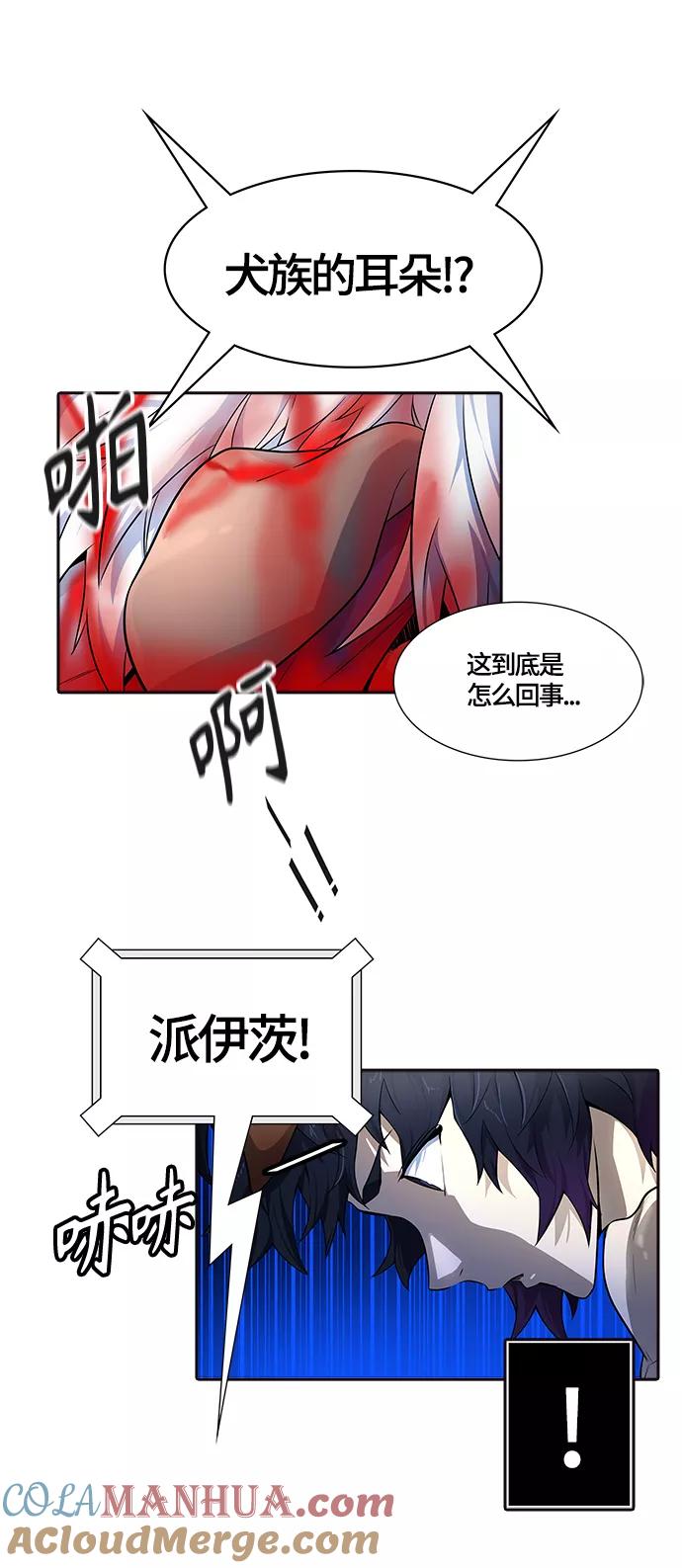 49.jpg