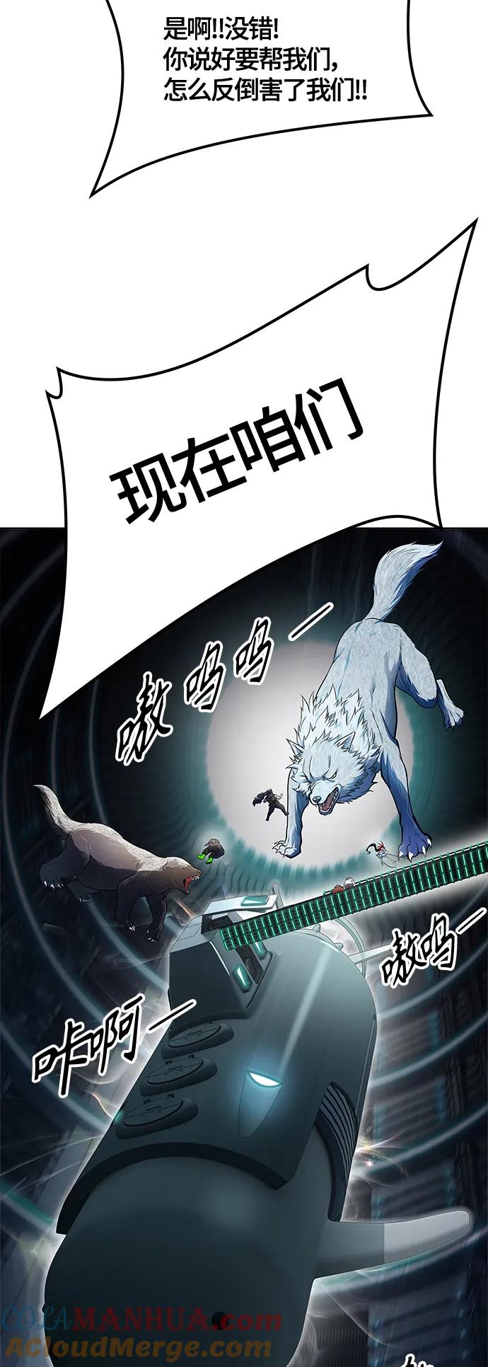 43.jpg