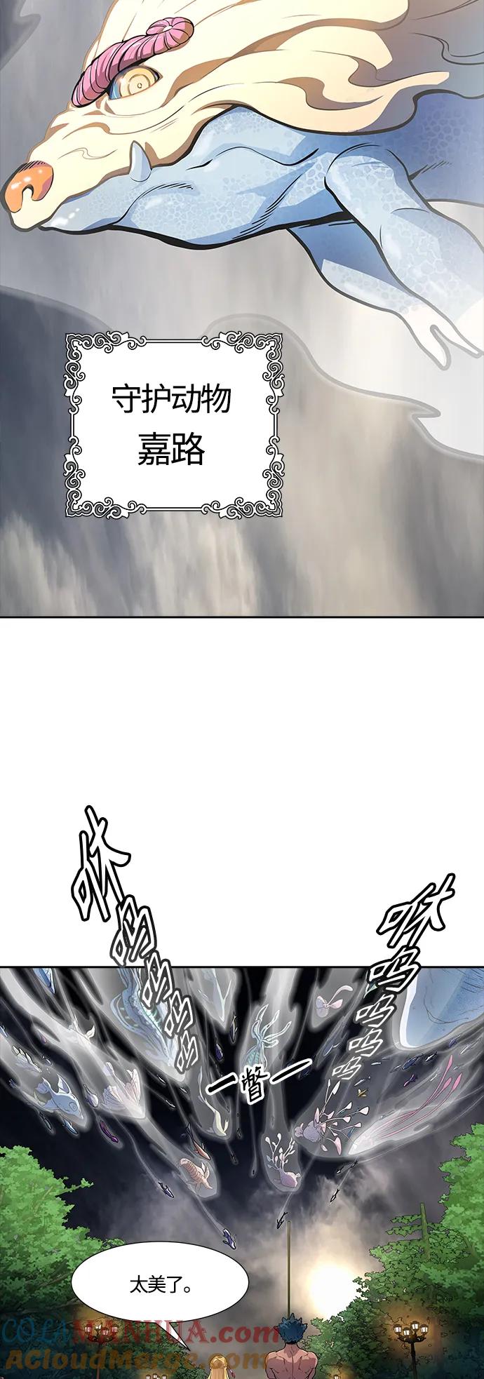 73.jpg