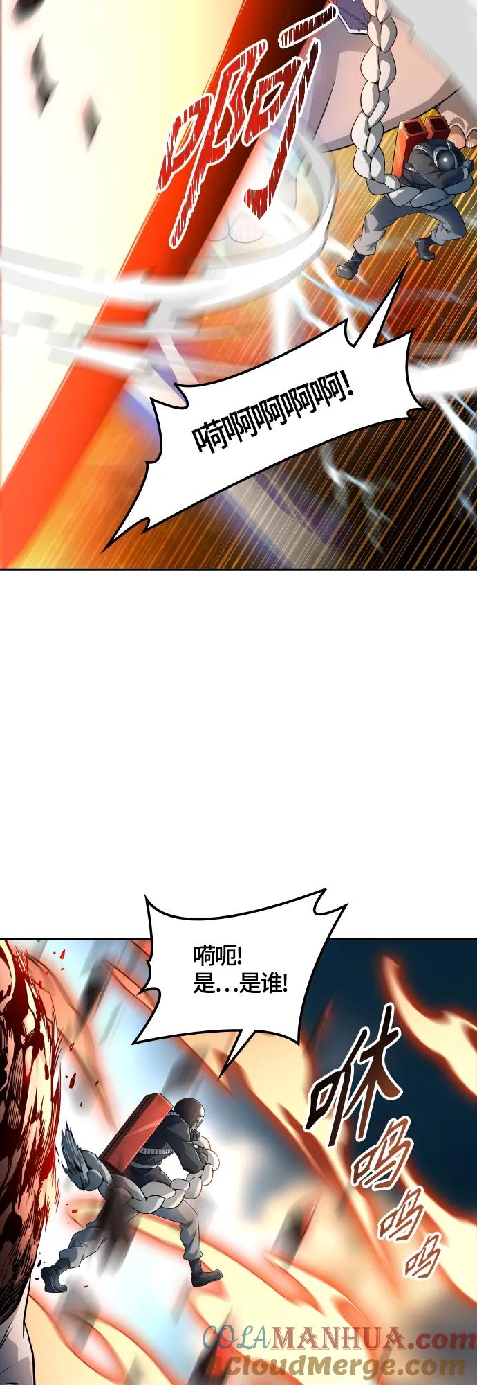 41.jpg