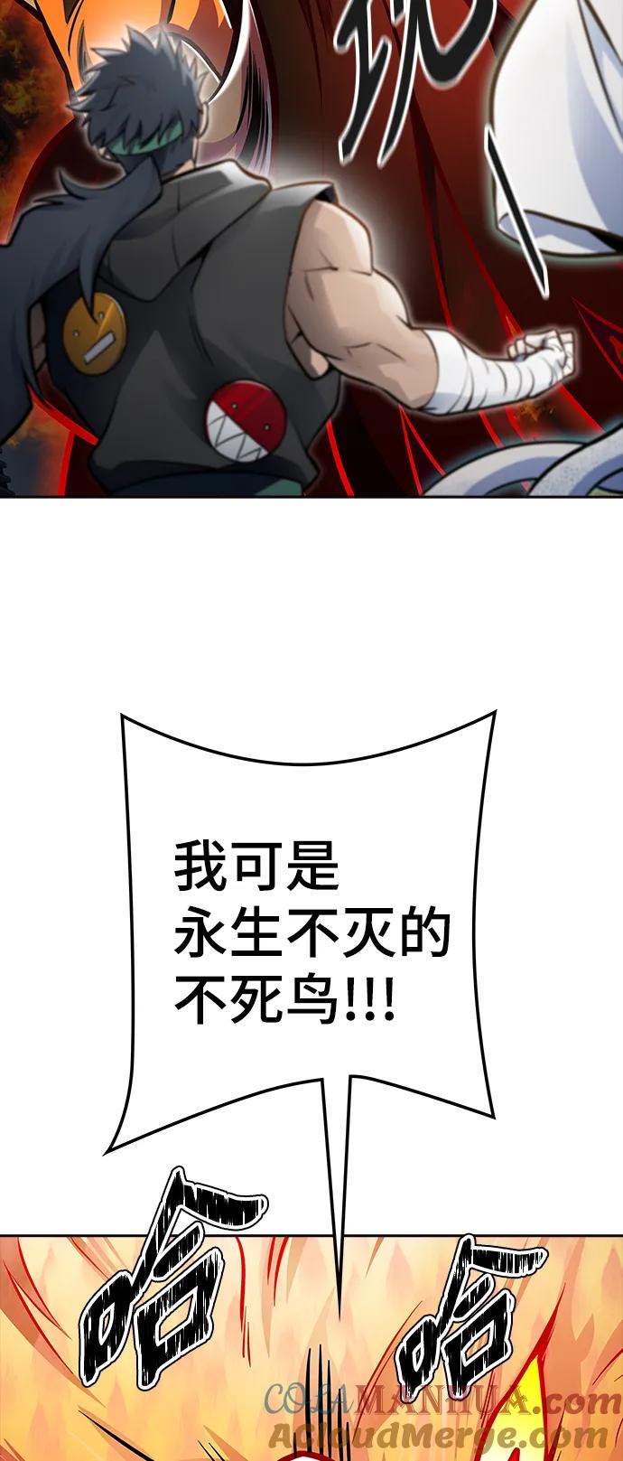 13.jpg