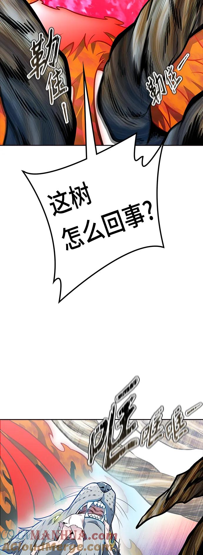 101.jpg