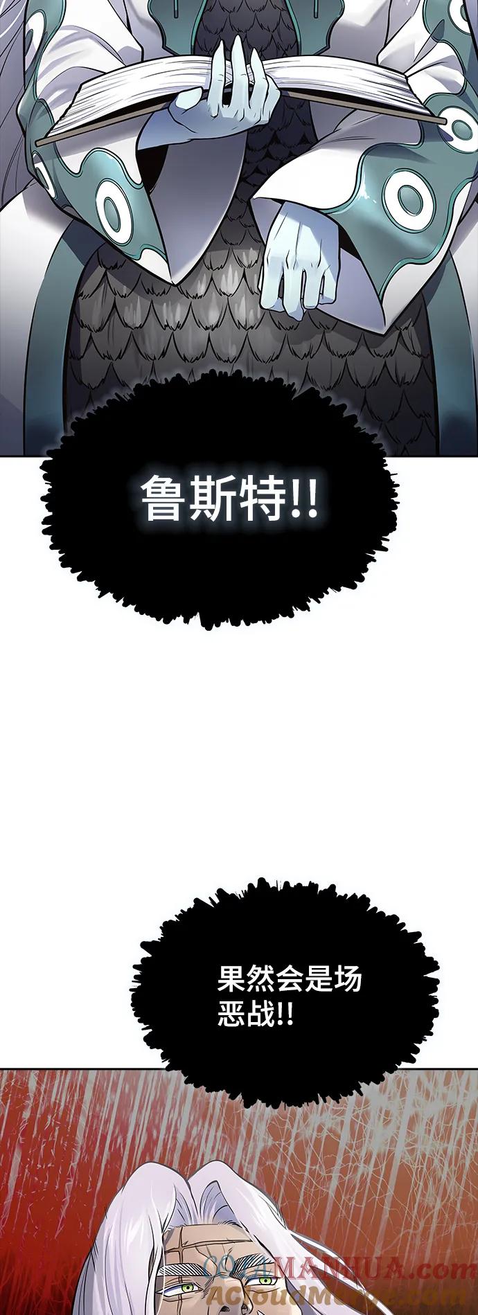 113.jpg
