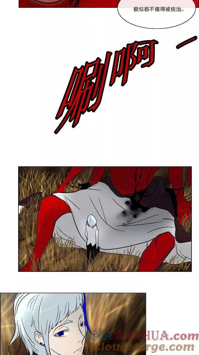 41.jpg