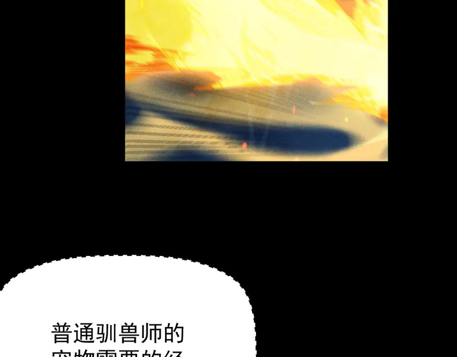 94.jpg