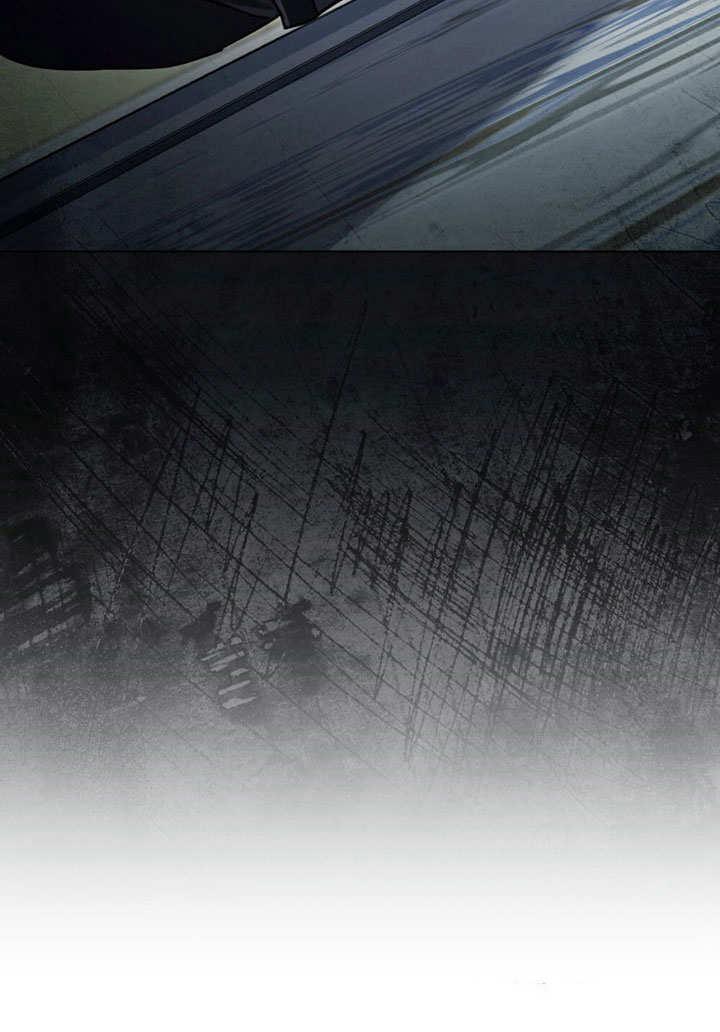 95.jpg
