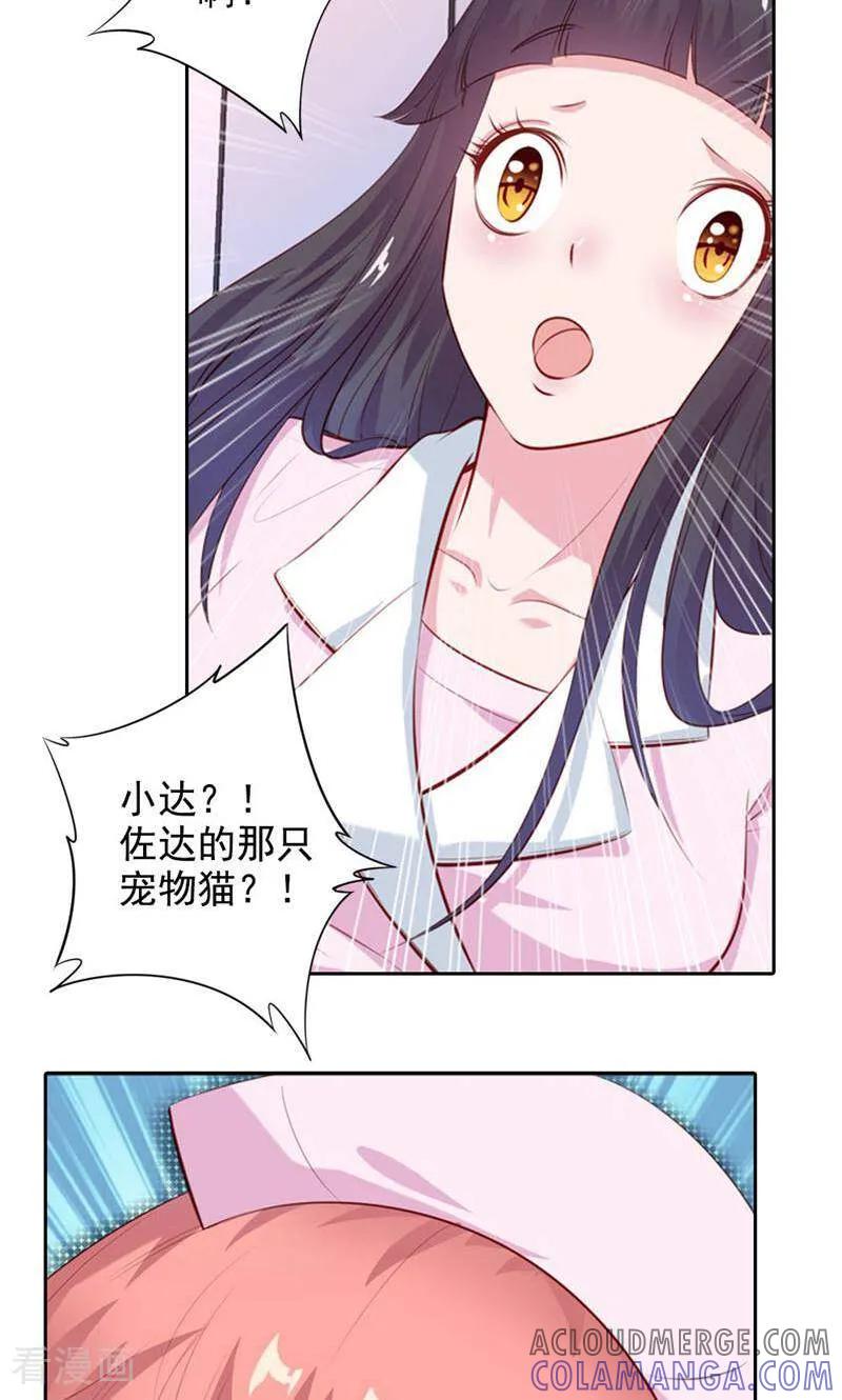 第51话-以猫的名义爱上你-咪咕数媒（第3张）
