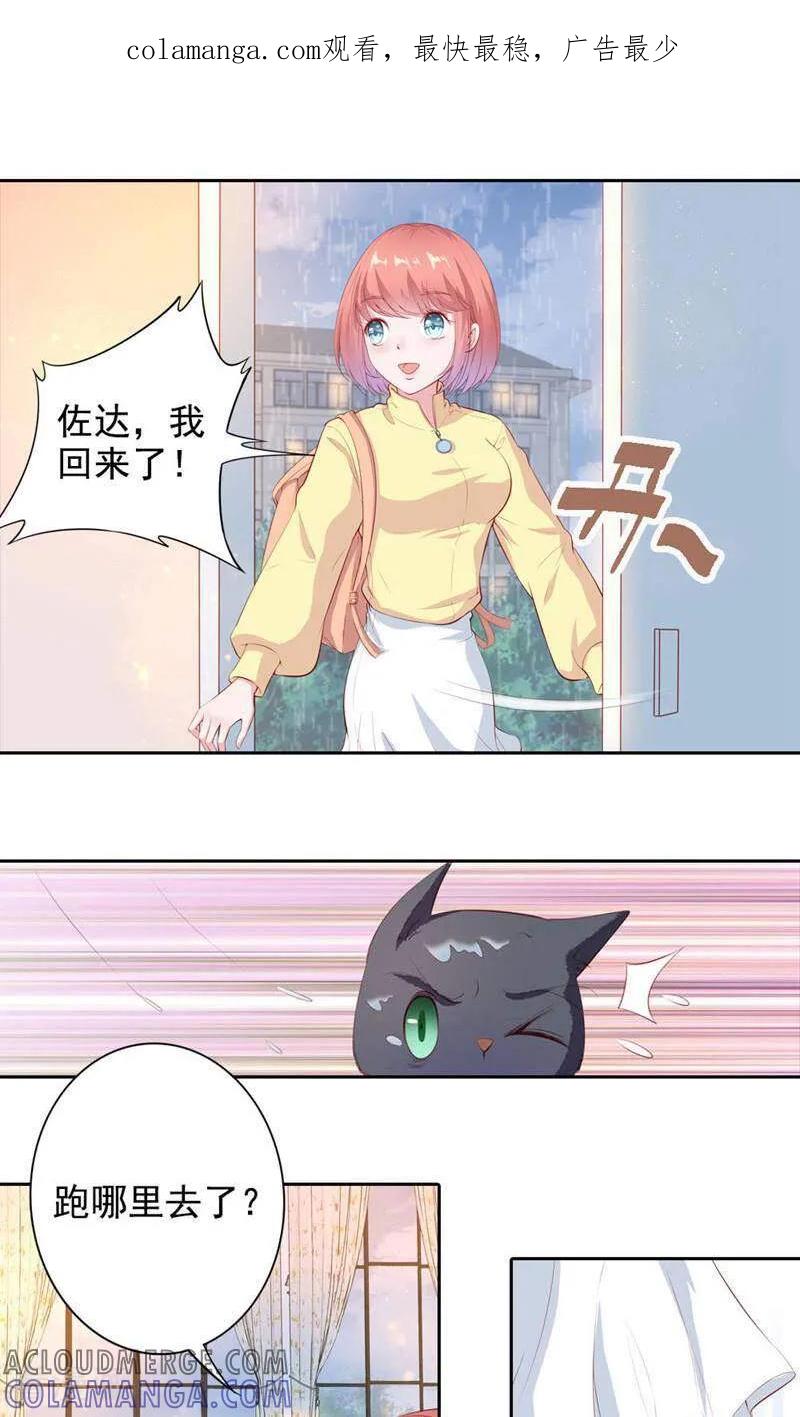 第61话-以猫的名义爱上你-咪咕数媒（第1张）