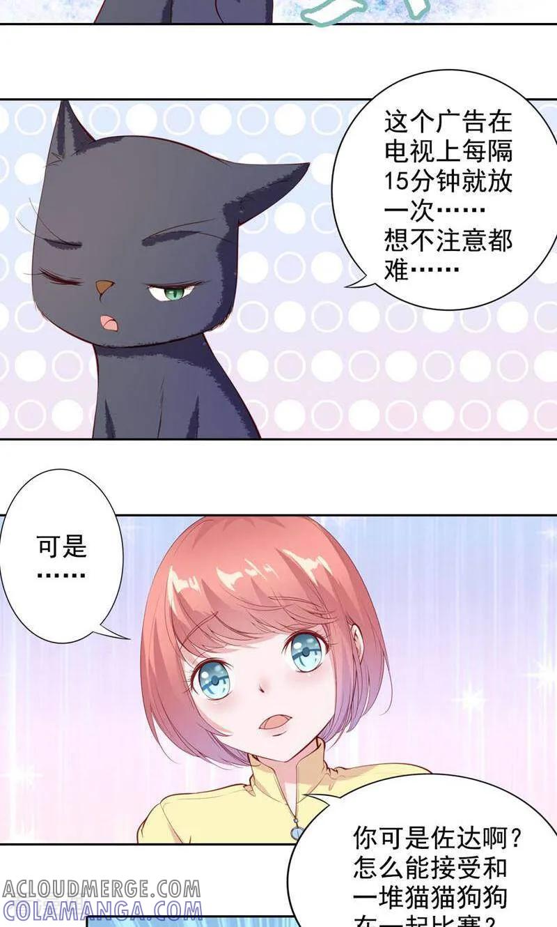 第61话-以猫的名义爱上你-咪咕数媒（第11张）