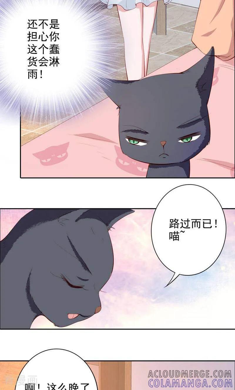 第61话-以猫的名义爱上你-咪咕数媒（第3张）