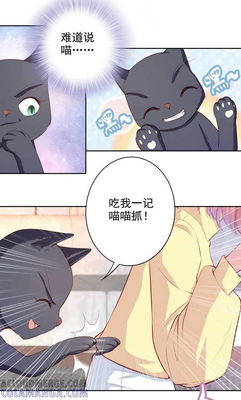 第62话-以猫的名义爱上你-咪咕数媒（第11张）