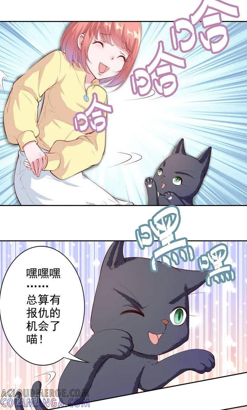 第62话-以猫的名义爱上你-咪咕数媒（第12张）