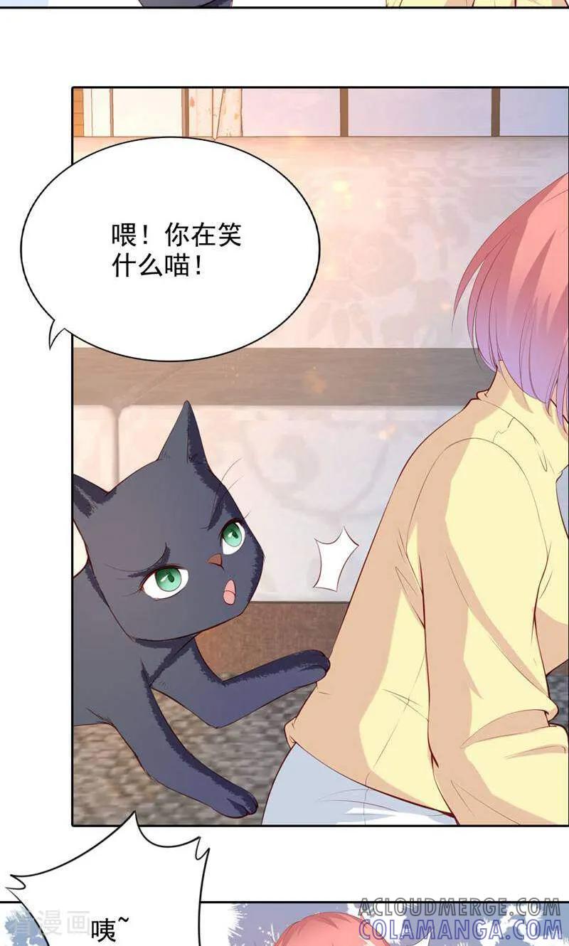 第62话-以猫的名义爱上你-咪咕数媒（第9张）
